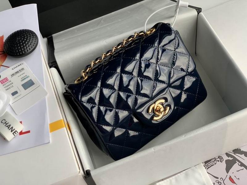 Chanel Handbags 156